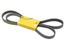 Mercedes-Benz C-Class, SLK / SLC 1998-2000 Belt 6K X 1878 - Continental 0119970292