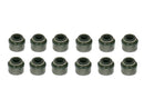 BMW 3 Series, Z3, 5 Series, Z4, M3, X3 & More 1992-2008 Valve Stem Seal Kit - Victor Reinz 11349064457