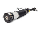Mercedes-Benz S-Class, CL-Class 2007-2014 Shock Absorber - Arnott Industries 2213201738