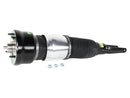 Porsche Panamera 2010-2013 Air Suspension Strut - Arnott Industries 97034305123