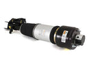 Mercedes-Benz CLS-Class, E-Class 2003-2011 Shock Absorber - Arnott Industries 2113205338