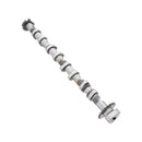 Volkswagen Jetta, Eos, GTI, Passat, Audi A4, A3 2005-2009 Camshaft - AMC 06F109101J