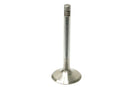 Porsche 911 1989-1994 Exhaust Valve - TRW 96410541903