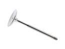 BMW 7 Series, X5, 5 Series, 6 Series 2002-2008 Intake Valve - TRW 11347503737