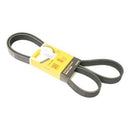 BMW 7 Series, 5 Series, 6 Series, 8 Series, X5, X6 & More 2008-2025 Belt 7K X 1647 - Continental 11287631824