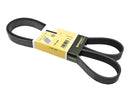BMW 7 Series, 5 Series, X5 1998-2003 Belt 7K X 1635 - Continental 11287636377