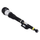 Mercedes-Benz S-Class, CL-Class 2007-2014 Shock Absorber - Arnott Industries 221320561388