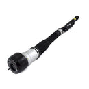 Mercedes-Benz S-Class, CL-Class 2007-2014 Shock Absorber - Arnott Industries 221320561388