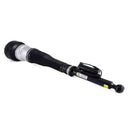 Mercedes-Benz S-Class, CL-Class 2007-2014 Shock Absorber - Arnott Industries 221320551388