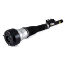 Mercedes-Benz S-Class, CL-Class 2007-2014 Shock Absorber - Arnott Industries 221320551388